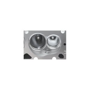 Dart 11310010PF Cylinder Heads Aluminum Small Block Chevy Pro1 200cc 49cc 2.020" x 1.600" Angled Plug, Bare Casting