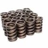 BMP 702202-16 - Valve Springs 1.250" OD, Single spring with damper