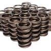 BMP 702204-16 - Valve Springs 1.437" OD, Dual Spring with Damper