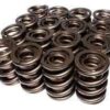 BMP 702206-16 - Valve Springs 1.550" OD, Dual spring with damper