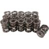 BMP 702212-16 - Valve Springs 1.640" OD, Dual spring with Damper